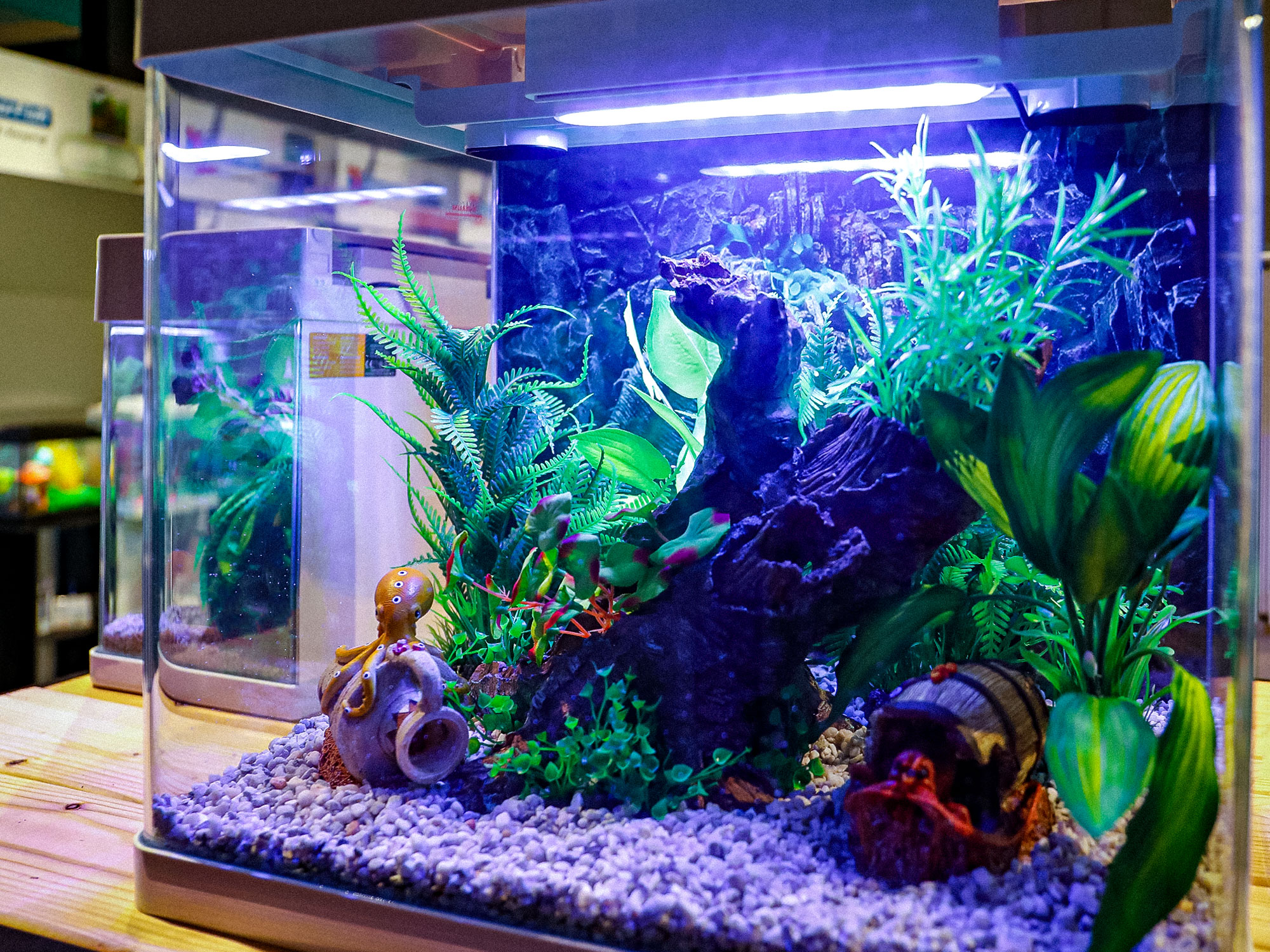 Superfish Home Aquarium with LED Lighting & Filter Pump - Easy Set Up Fish  Tank 