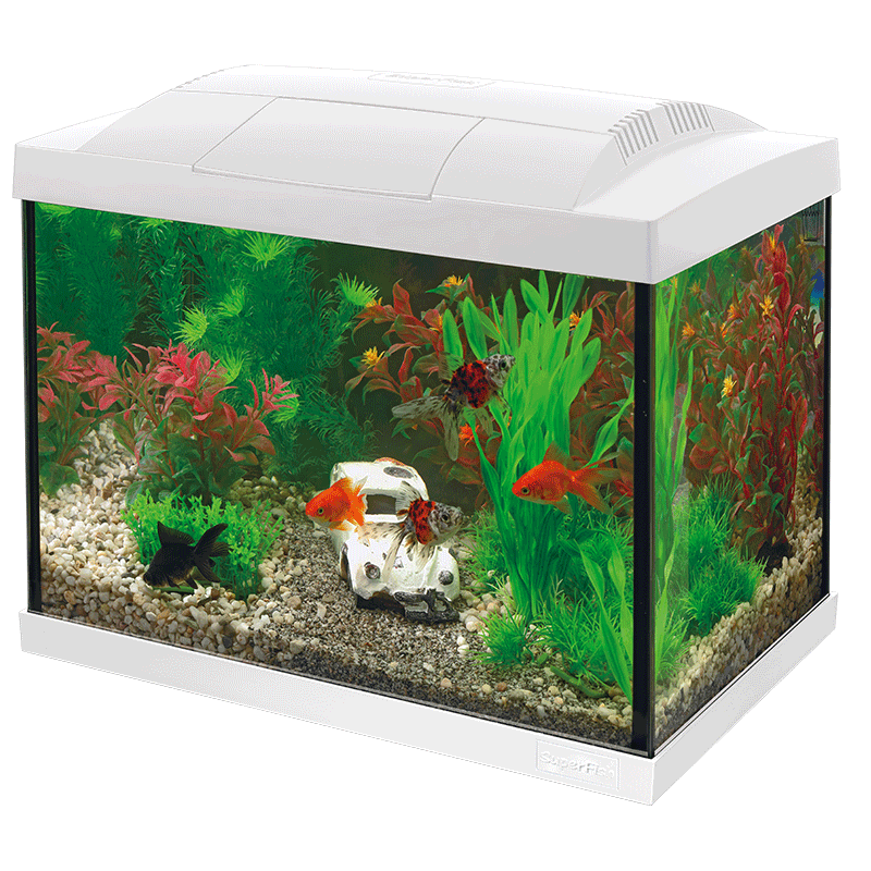 Goldfish LED Aquarium Kit