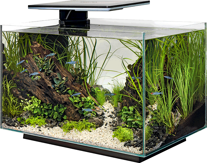 SuperFish Start Aquarium 30 50 70 Tropical Glass Fish Tank Kit Black or  White